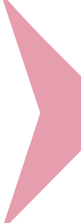 Seta