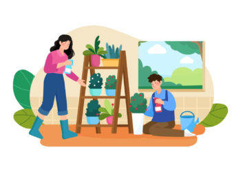Horta no apartamento: Como montar?
