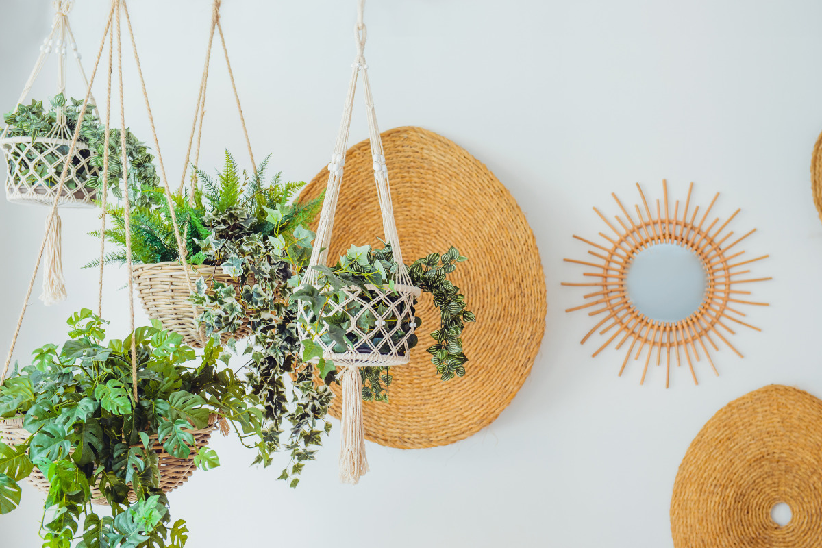 Plantas penduradas em sala com decoração na parede. Imagem ilustrativa para texto urban jungle.