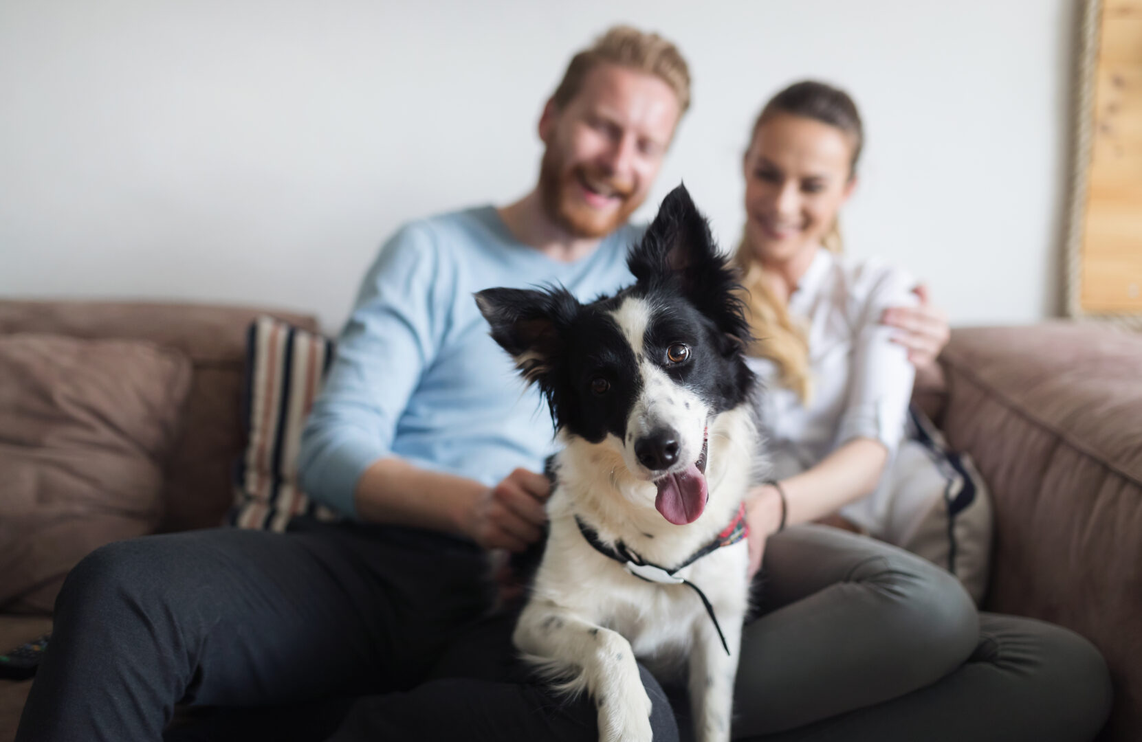 Pets em apartamentos: dicas para quem pretende adotar! Riva Incorporadora