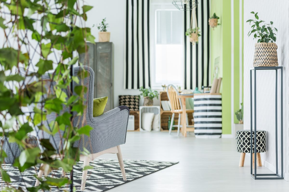 plantas para apartamento pequeno