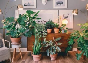 10 opções de plantas para apartamento pequeno e o que considerar