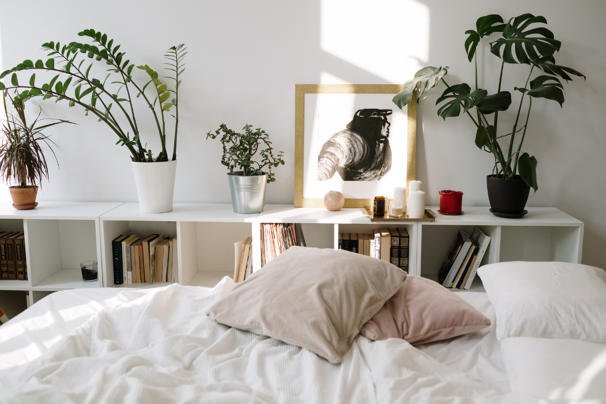 Quais as melhores plantas para quarto? Descubra agora ótimas espécies para o ambiente Parte de um quarto com cama, móvel e plantas em vasos. Imagem ilustrativa para texto plantas para quarto.