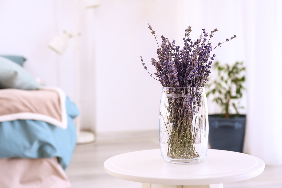 Quais as melhores plantas para quarto? Descubra agora ótimas espécies para o ambiente Pote com lavanda em plantas para quarto.