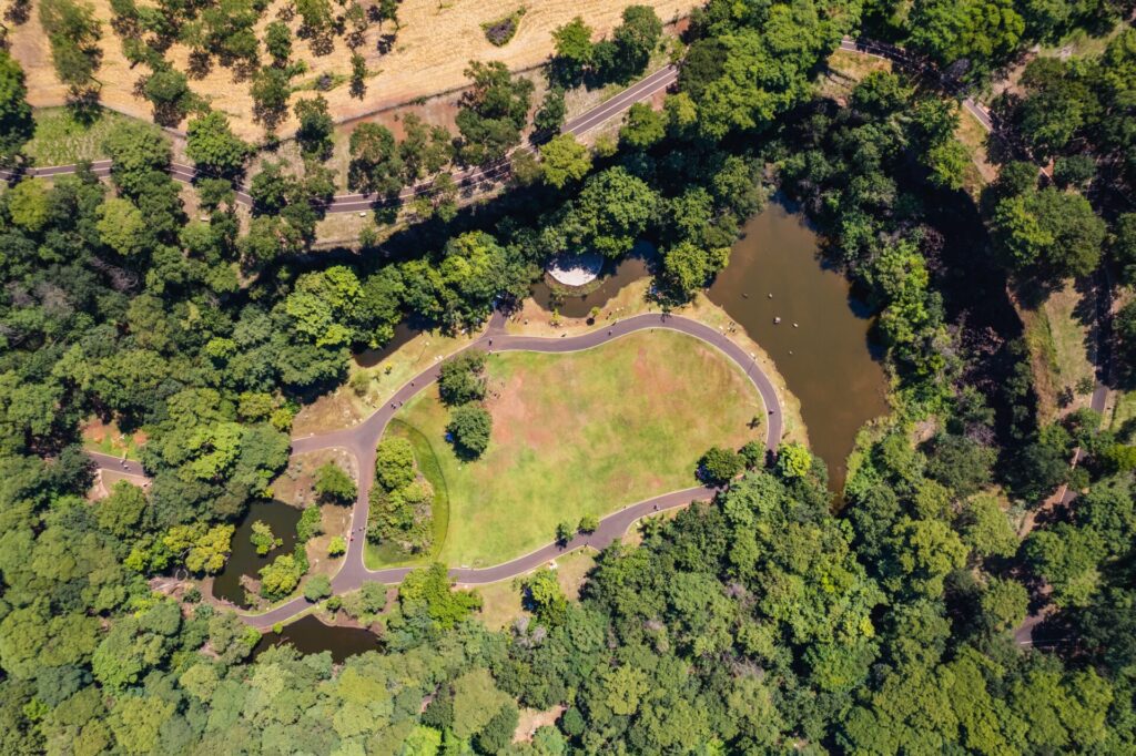 Parque Prefeito Luiz Roberto Jábali (Curupira)
