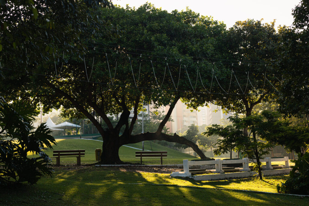 Apartamento em Fortaleza: qualidade de vida, sol e oportunidades Parque do Cocó. Uma das vantagens de ter um apartamento em Fortaleza